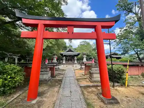 竹中稲荷神社（吉田神社末社）の鳥居