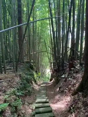 八幡神社の周辺