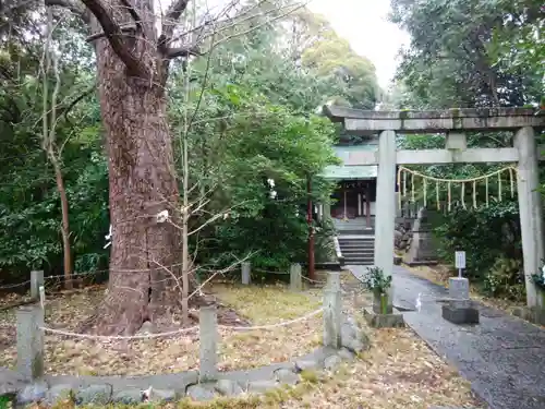 忍　諏訪神社・東照宮　(埼玉県)