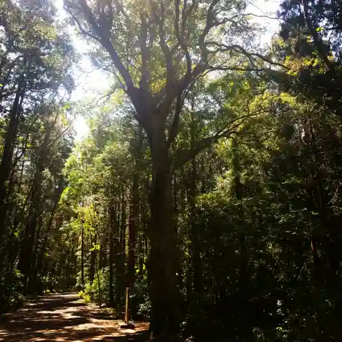 鹿島神宮の自然