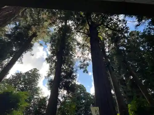 大宮温泉神社(栃木県)