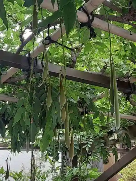 西方山極楽寺(岐阜県)