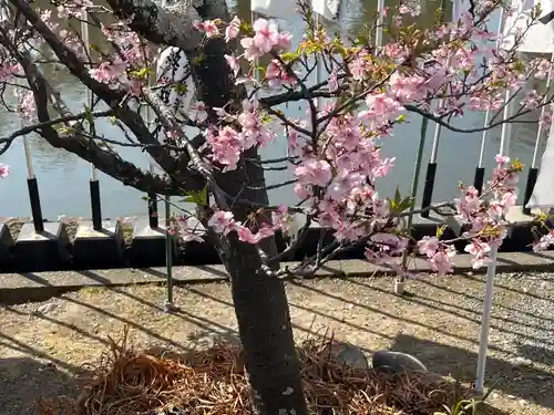 旗上弁財天社の自然