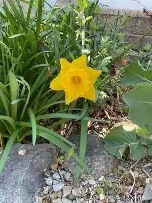 三輪神社(愛知県)