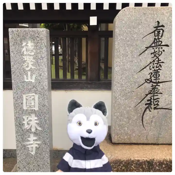 圓珠寺のその他建物