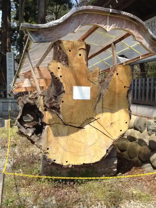 伊佐須美神社(福島県)