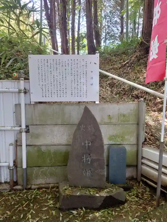 中将姫(神奈川県)