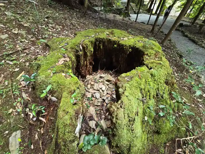 丹生川上神社(中社)(奈良県)