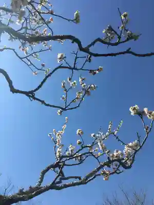 浄妙寺(神奈川県)
