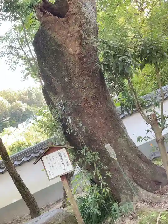 昌光律寺(愛知県)