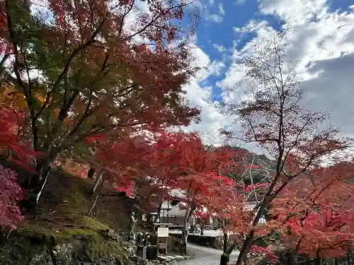 神峯山寺(大阪府)