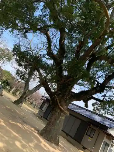 梶返天満宮の自然