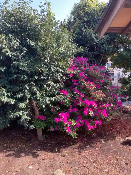 妙安寺(神奈川県)