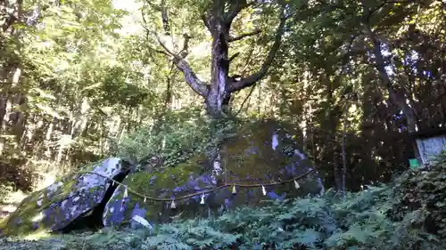 丹内山神社の自然