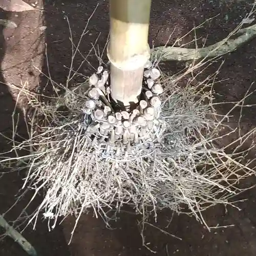 沼尾神社(茨城県)