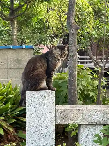 白山神社(東京都)