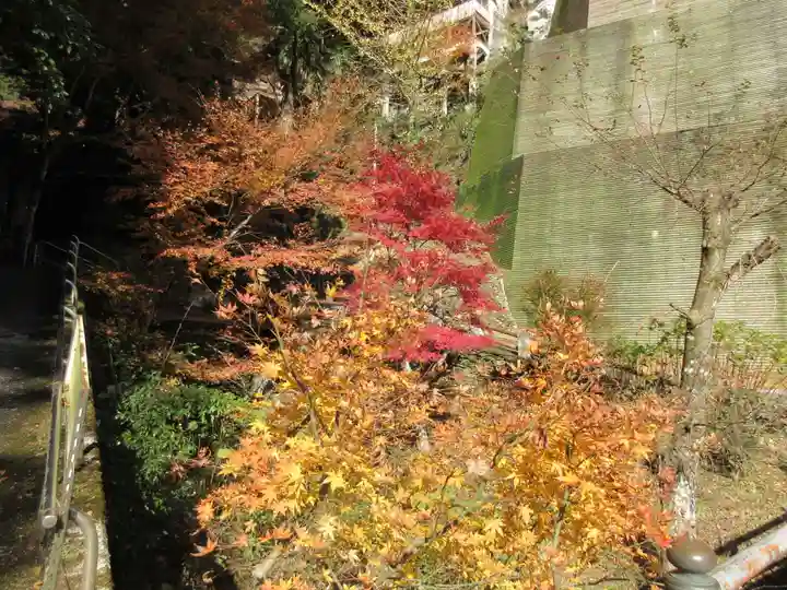 仙龍寺(愛媛県)