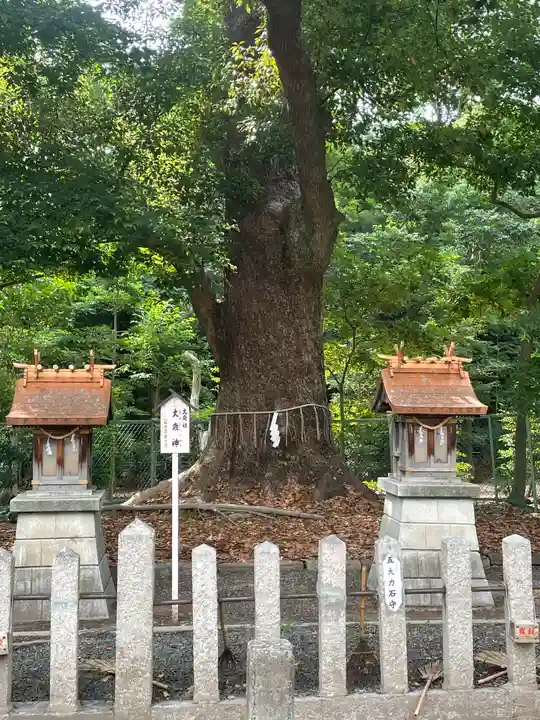 泉穴師神社の自然
