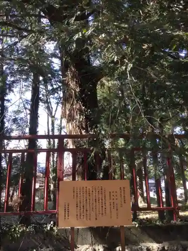 表門神社(山梨県)