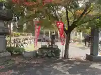 茂林寺(埼玉県)