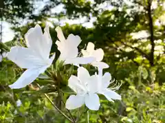 和神社(長野県)