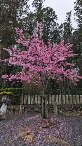 大歳神社(京都府)