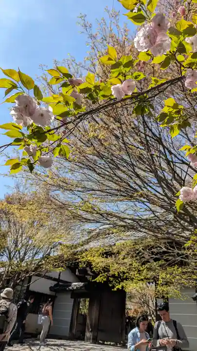 住吉大伴神社(京都府)