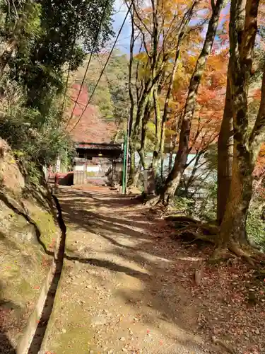 醍醐寺（上醍醐）(京都府)