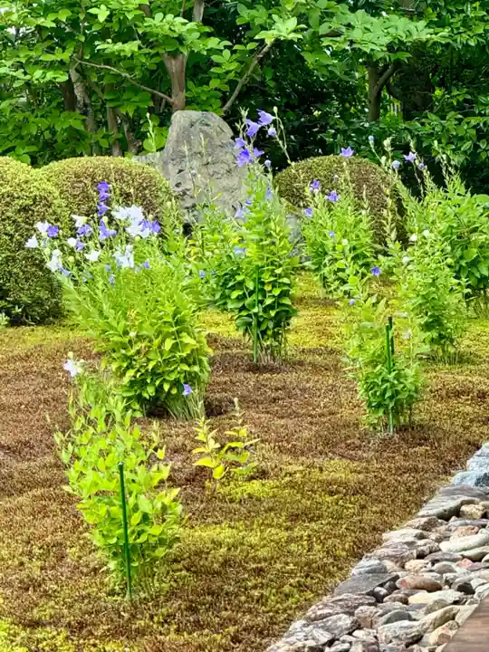 天得院(京都府)