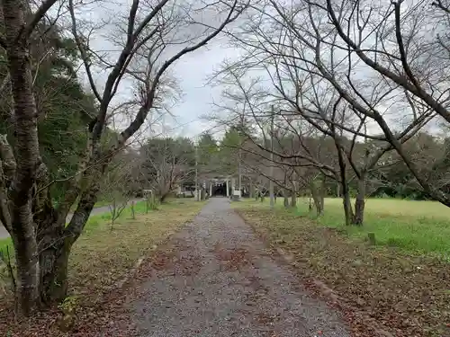 金村別雷神社の景色