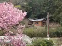 敷島神社の自然