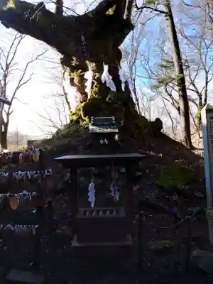 熊野皇大神社(長野県)