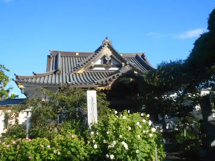 妙隆寺の本殿・本堂