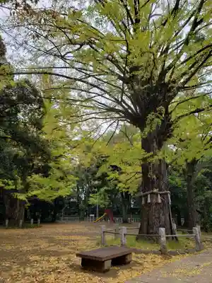 赤坂氷川神社(東京都)