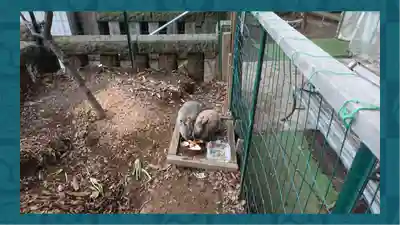 太子堂八幡神社(東京都)