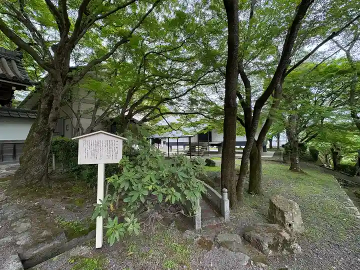 西教寺の{uncategorized: "未分類", other: "その他", undefined: "問題あり", building: "その他建物", grave: "お墓", sacred_gate: "鳥居", guardian: "狛犬", statue: "像", buddha: "仏像", history: "歴史", nature: "自然", garden: "庭園", animal: "動物", pagoda: "塔", temizu: "手水舎", mountain_gate: "山門・神門", sanctuary: "本殿・本堂", subordinate: "末社・摂社", art: "芸術", scenery: "景色", jizo: "地蔵", ema: "絵馬", goshuin: "御朱印", omikuji: "おみくじ", items: "授与品その他", amulet: "お守り", goshuincho: "御朱印帳", eats: "食事", festival: "お祭り", votive_dance: "神楽", shichigosan: "七五三参", wedding: "結婚式", experience: "体験その他", initially: "初詣", around: "周辺", anti_infection: "感染症対策"}