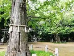 赤坂氷川神社の建物その他