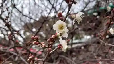 滝宮天満宮(香川県)