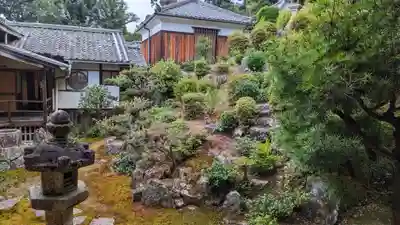 興聖寺（興聖寶林禅寺）の庭園
