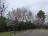 美瑛神社の自然