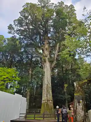 霧島神宮(鹿児島県)