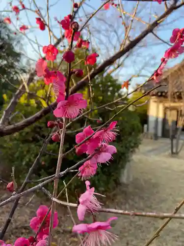 一条山宝蓮寺の庭園