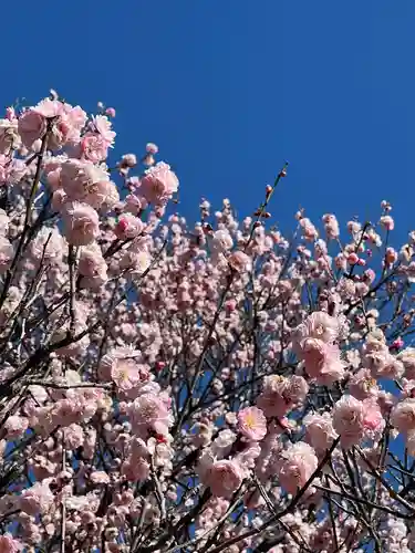 清水寺(静岡県)
