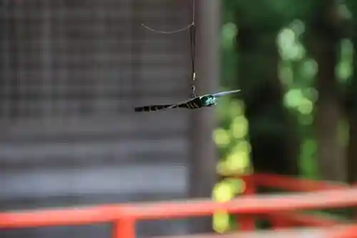 高司神社〜むすびの神の鎮まる社〜の授与品その他