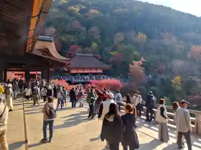 清水寺(京都府)