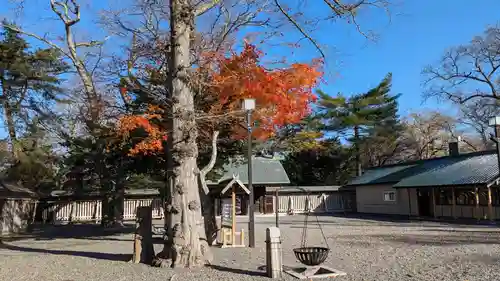 千歳神社の庭園