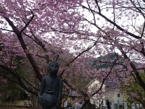 かっぱの寺 栖足寺の自然