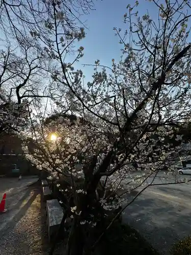 石清水八幡宮(京都府)