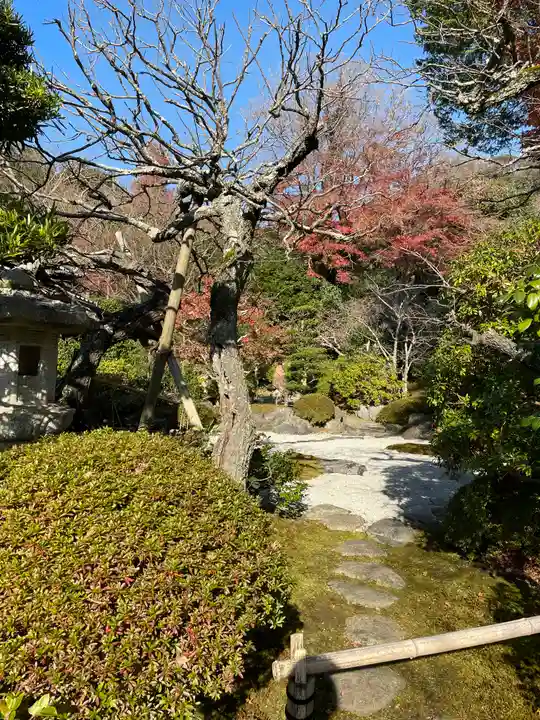 浄妙寺の庭園