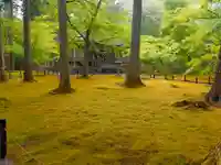 三千院門跡(京都府)